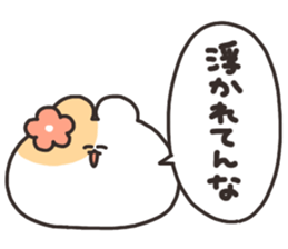 560045587