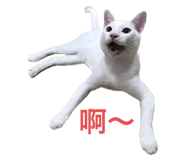 560078236