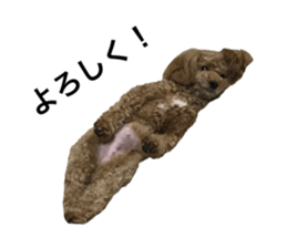 560178986