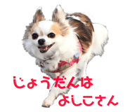 560189918