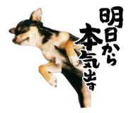 560189928