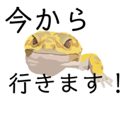 560201458