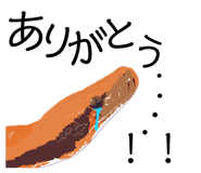 560201460