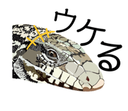 560201463