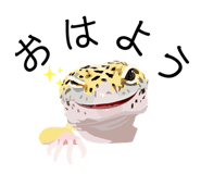 560201466