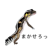 560201469