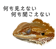 560201473