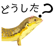 560201475