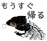 560201477