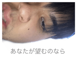 560206816