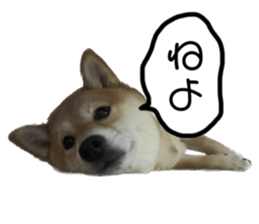 560222964