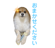 560243815