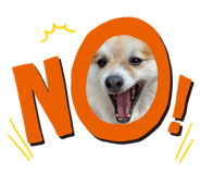 560243816