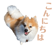 560243818