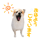 560243821