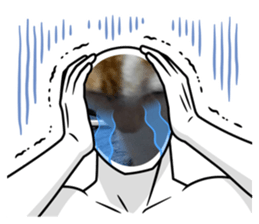 560252900
