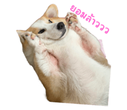 560292423