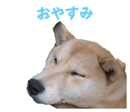 560308881