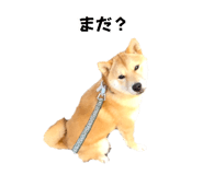 560308882