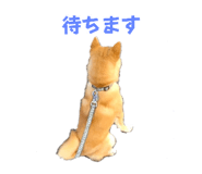 560308883