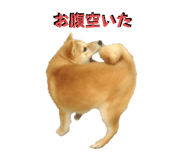 560308884