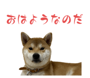560328566