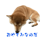 560328567