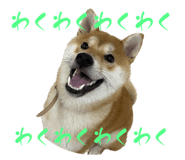 560328569