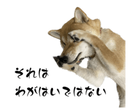 560328570