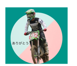560334807