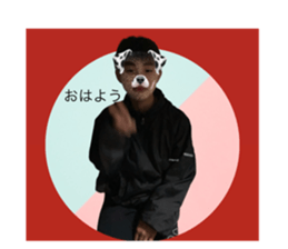 560334813