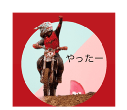 560334817