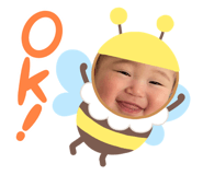 560375341