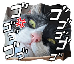 560387135