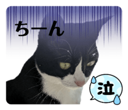 560387136