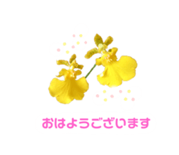 560392608