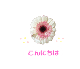 560392609