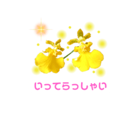 560392639
