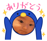 560399096
