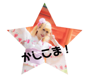56040591