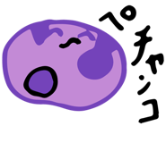 560466925