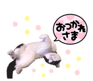 560505156