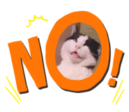 560505160