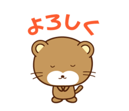 56050916