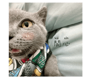 560521114