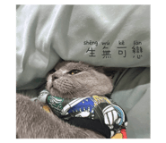 560521119