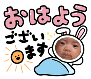 560527219