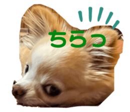 560534741