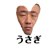 560575520