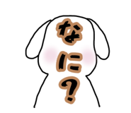 560589425